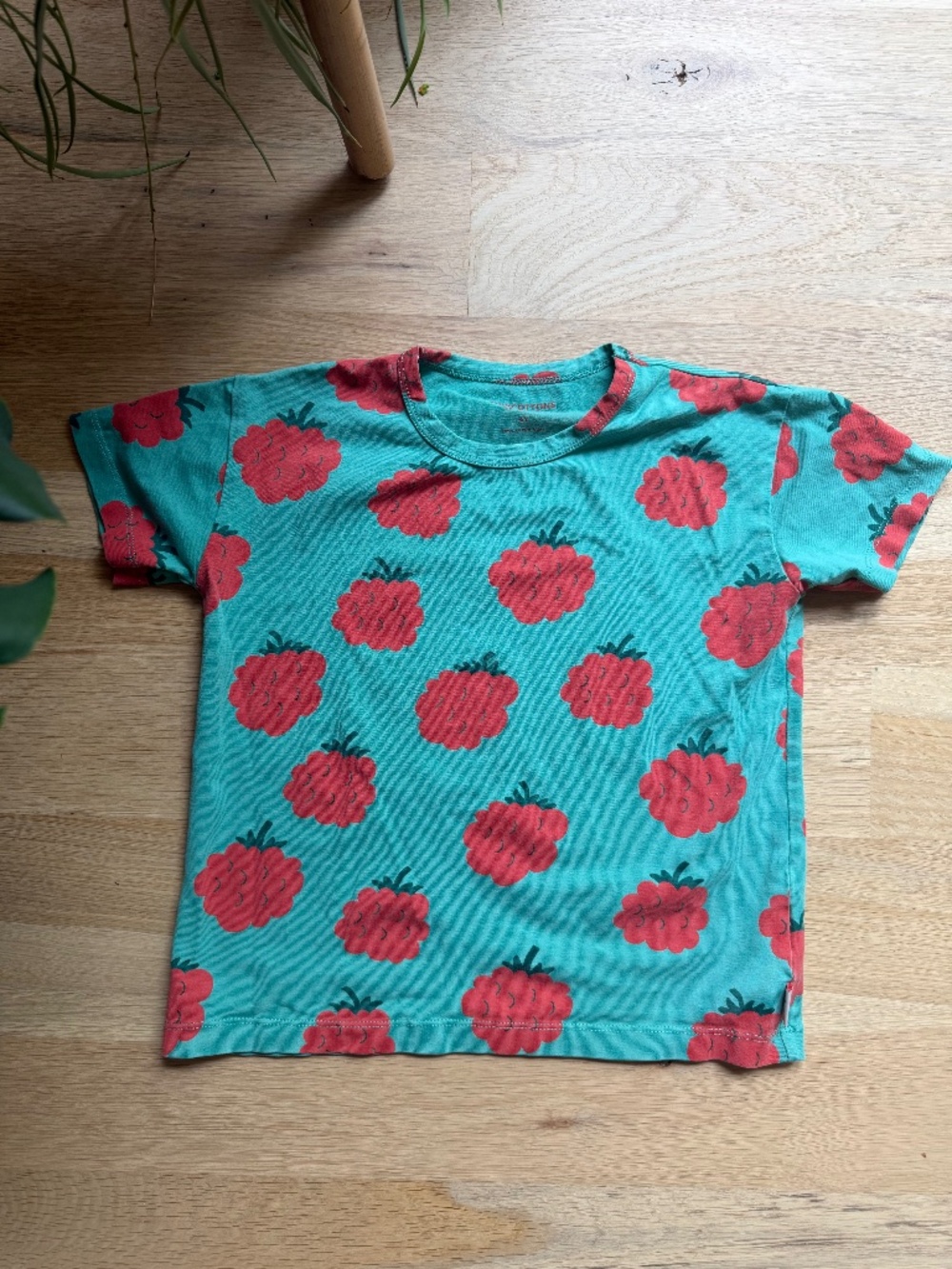 Tiny Cottons raspberry t-shirt